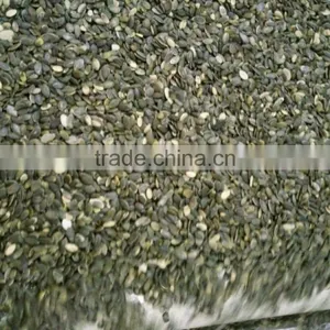 Organic Pumpkin Seeds Kernels Grown Without Shell A thumbnail-6