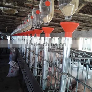 Poultry Farm Machinery Gestation Crates Stalls For Pigs thumbnail-5