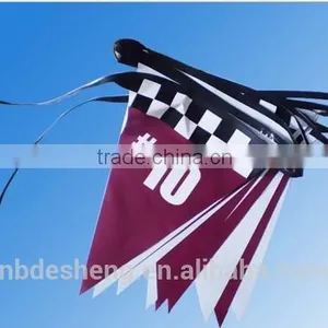 Triangle Colored Pennant Flags thumbnail-1