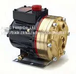 Wanner Hydra-Cell Diaphragm Pump D10 Series thumbnail-1