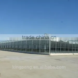 Commercial Multi Span Temper Glass Greenhosue thumbnail-2