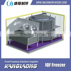 2000Kg/H Spiral IQF Freezer 1000 Made In China thumbnail-6