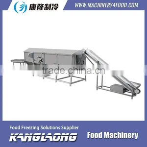 1000Kg/H Strawberry Blanching Machine thumbnail-4