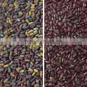 Farming Processing Machine CCD Big Red Beans Color Sorter Equiment Green Beans Color Sorter Mung Beans Sorting Machine thumbnail-4