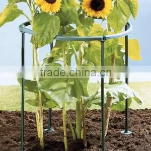 Plants Support 8pc/set thumbnail-1