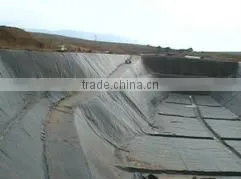 2mm Hdpe Geomembrane thumbnail-5