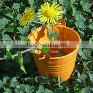 High Quality Colorful Metal Bucket for Garden thumbnail-1