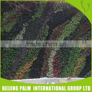Cheap High Imitation Plastic Imitation Plastic Green Wall/Artificial Plant thumbnail-6