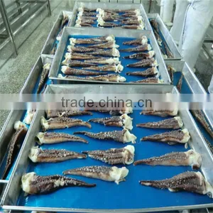 Iqf Frozen Cooked Squid Tentacle/market Squid thumbnail-1