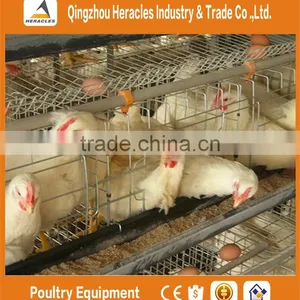 High Quality Cheap Poultry Cage Layer Chicken Used Chicken Cage thumbnail-4