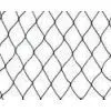 Polyethylene Protecting Bush / Plant Netting, Safe Guarding Forestry Netting and Warp Knitted Anti-b thumbnail-1