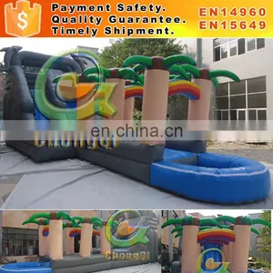 Giant Inflatable Water Slide Pool for Sale Inflatable Water Slide Pool thumbnail-1