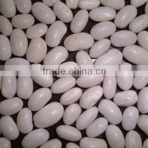 New Crop Japanese Type White Kidney Beans thumbnail-1