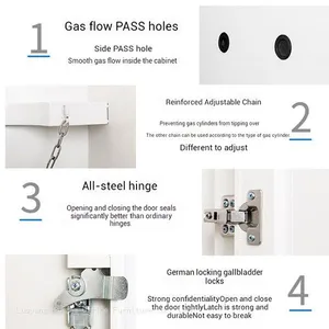 Smart Gas Cylinder Safety Cabinet for Boston Biotech Labs, Double Bottle Storage With 5s Auto-Exhaust & LCD Panel, High Precision Lab Guard thumbnail-2