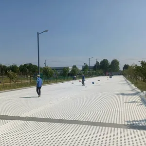 Polyester Fiber Protective Net h Pet600 - 400ms, Plastic False Roof Net for Underground Coal Mines, Final Mining 412kn thumbnail-5