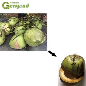 Shanghai Full Automatic Electric Coconut Meay Grinder Grinding Machine Coconut Meat Shredder Grater thumbnail-6