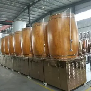 Beer Fermentation Tank for Berwery/ Factory1 thumbnail-6