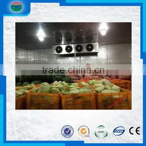 Cheaper Supreme Quality Cold Storage/cold Room for Onion Quality Choice thumbnail-1