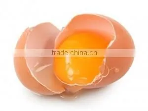 VIET NAM Fresh Brown Chicken Eggs thumbnail-1