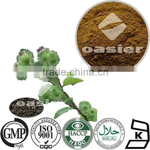 Arctium Lappa Extract 10%Arctiin CAS No.:20362-31-6 Arctium Lappa L thumbnail-1