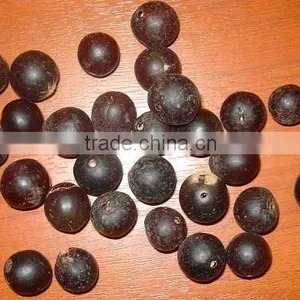 Chuchos Seeds' Beads thumbnail-1