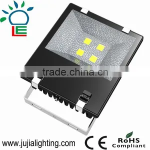 30w Waterproof Flood Light Bridgelux Cob Outdoor Led Flood Light thumbnail-5
