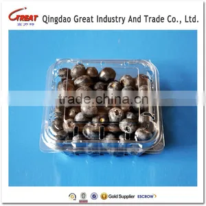 Blueberry Plastic Punnet Disposable Fruit Container Quality Choice thumbnail-1