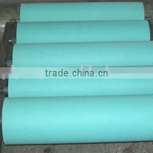 APL Immersion Roll thumbnail-1