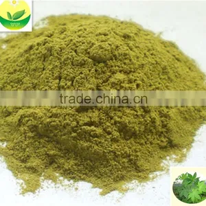 Sweet Tea Health Care Tea Green Tea Extract thumbnail-1