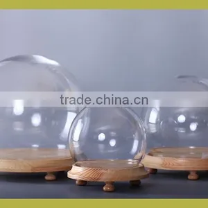Clear Glass Display Dome thumbnail-5