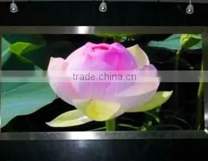 World Best Sell for P2.5 Indoor Full Color LED Display thumbnail-6