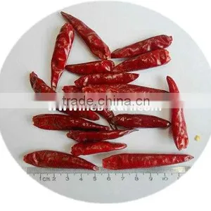 High Quality Chili thumbnail-2
