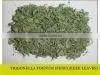 Fenugreek Seeds thumbnail-1