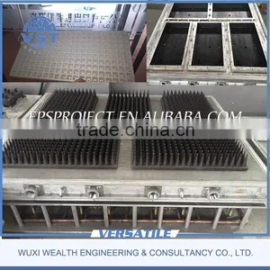China EPS Mould for Fruit Box and Vegetable Box thumbnail-4