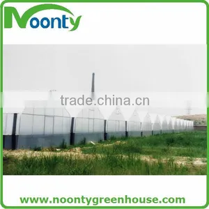 Greenhouse Film thumbnail-5