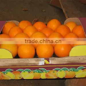 Fresh Valencia Orange thumbnail-1