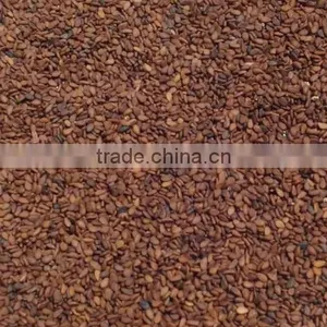 Brown Sesame Seed thumbnail-1