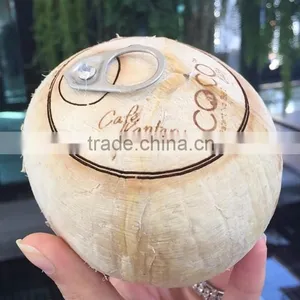 Coconut Water thumbnail-1