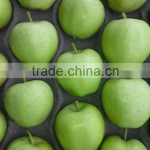 Fresh Green Apples thumbnail-2