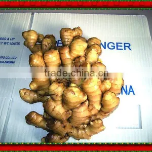 Shandng 2011 Air-dry Fresh Yellow Ginger thumbnail-1