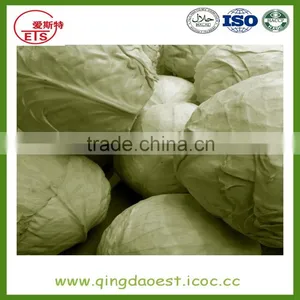Shandong Hot Sale Fresh Cabbage thumbnail-2