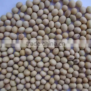 Chinese Good Quality and High Protein Soybeans thumbnail-3