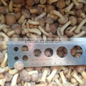 Frozen Nameko thumbnail-1