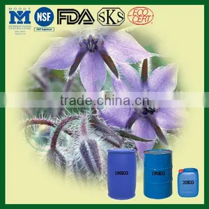Healthcare Supplement Ingredient Borage Seed Oil thumbnail-1