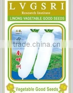 High Germination Seed of Raphanus Sativus thumbnail-2