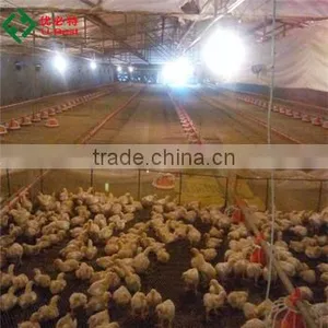 Prefabricated Chicken Poultry Broiler House and Automatic Equipment thumbnail-1