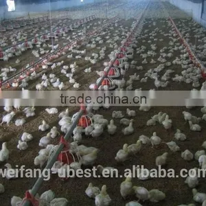 Modern Broiler Poultry Shed Design thumbnail-2