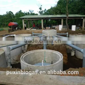 PUXIN Recycle Small Sewage Treatment Plant Machine for Slaughter House Waste thumbnail-6
