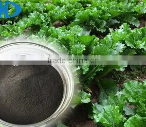 95% Water Soluble Sodium Humate Flake thumbnail-2