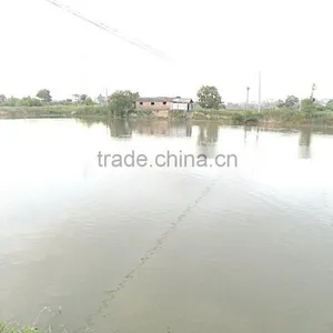 Hot Sales Solar Aeration System for Fish Farm thumbnail-4